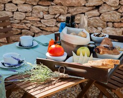 A picnic setup with food items, a bottle, and a cup on a table.