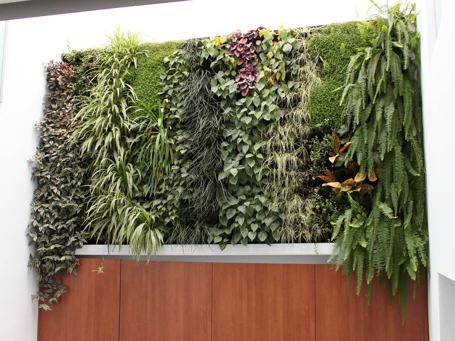 Détail de l’intérieur