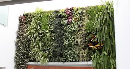 Life Apartments Santo Rey