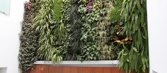 Life Apartments Santo Rey