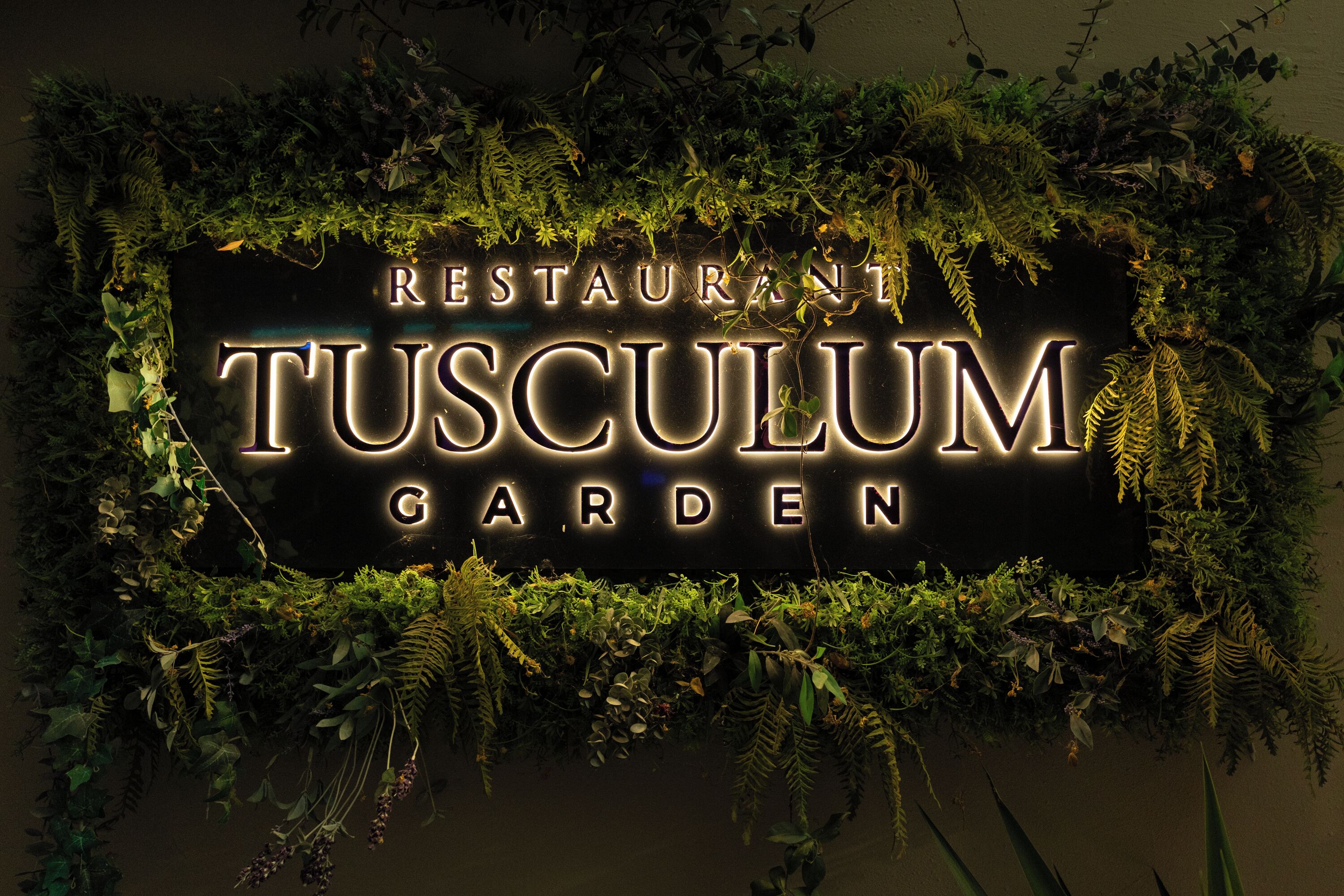 breakfast, lunch, dinner served; local cuisine