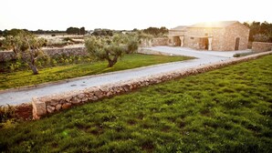 A stone building with a paved pathway leading to it, surrounded by green grass and olive trees. - Masseria Cisternella (Alliste)
