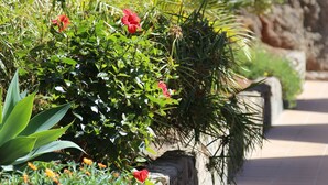 Un sentier bordé de différentes plantes et fleurs, qui mène à une zone rocheuse.