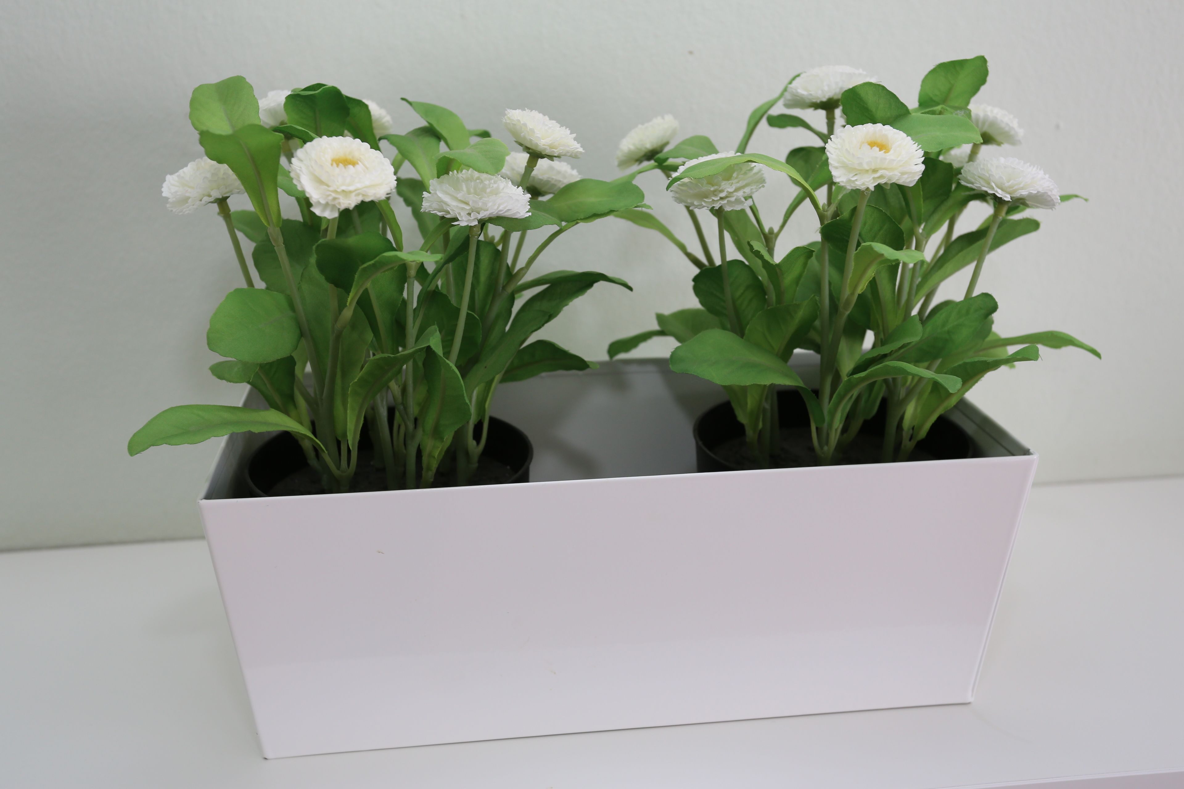 Foto - Apartamentos Halley