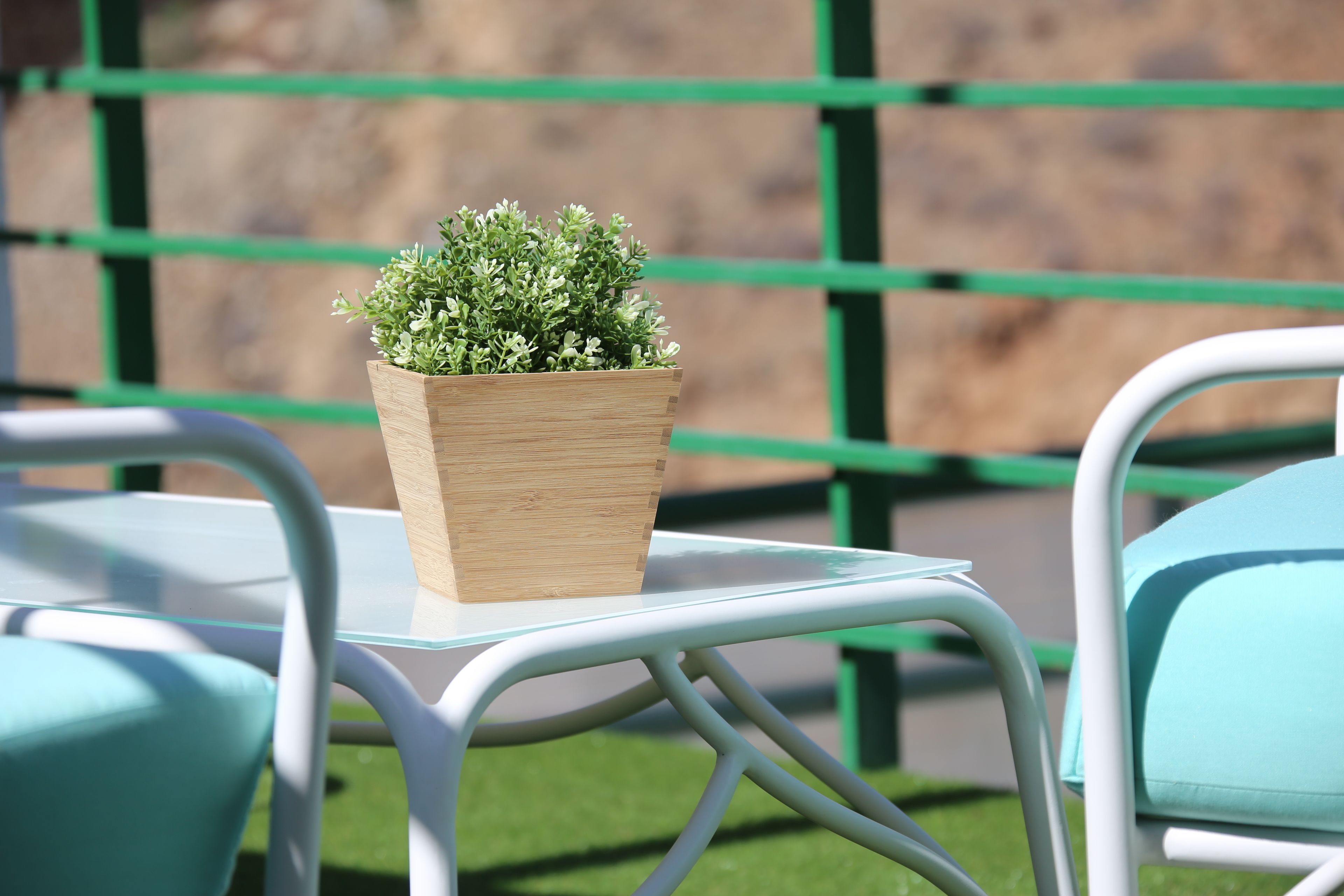 Foto - Apartamentos Halley