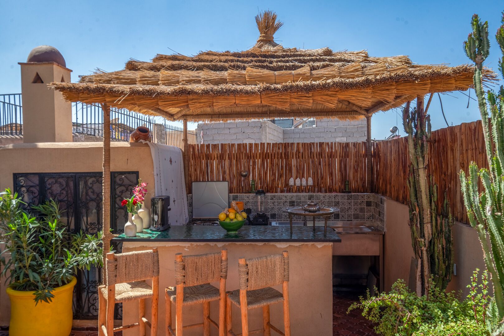 Cocina exterior con techo de paja, zona de comedor con sillas y diversas plantas.