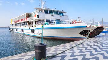 A large ferry docked at a pier with a patterned walkway.