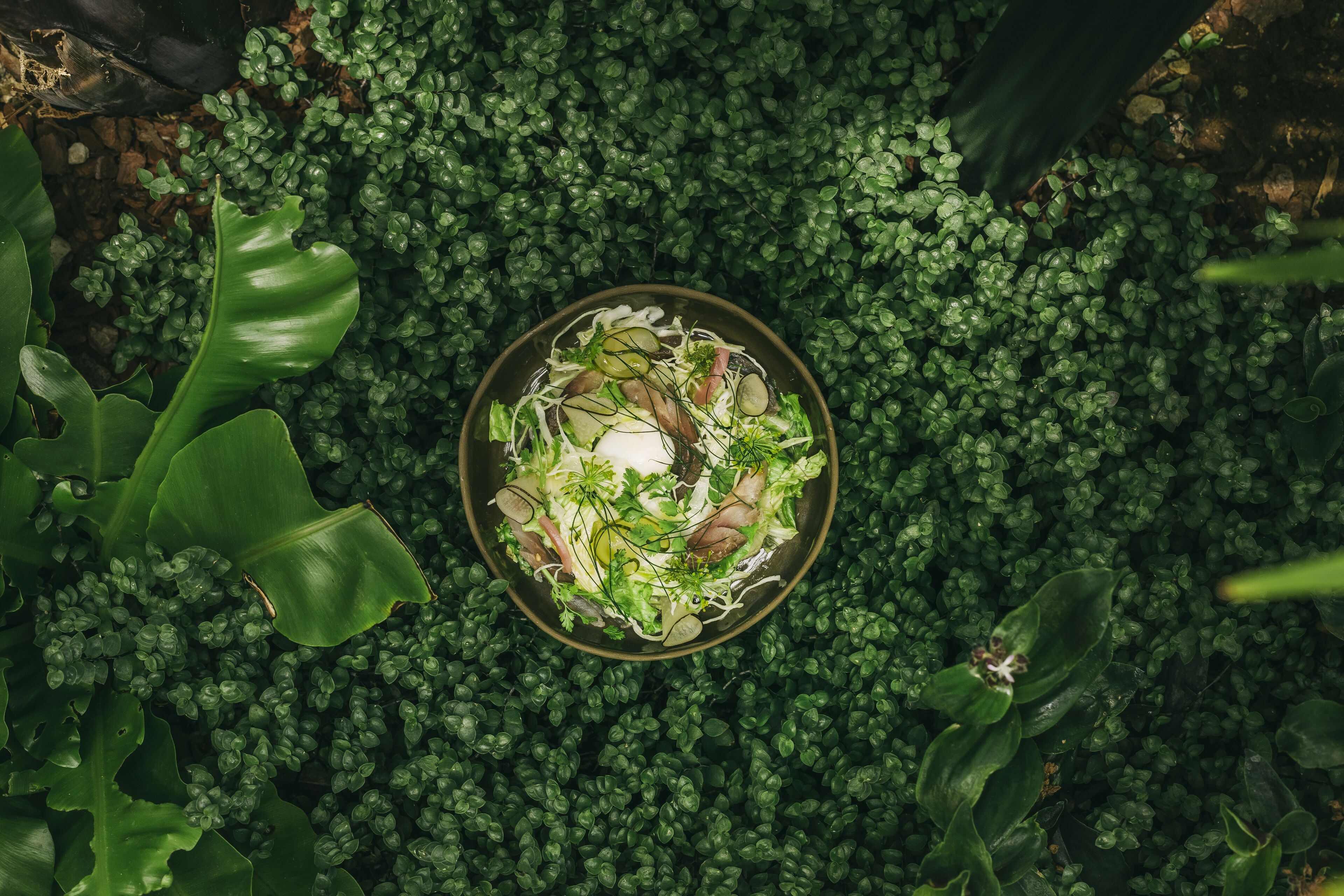 breakfast and dinner served