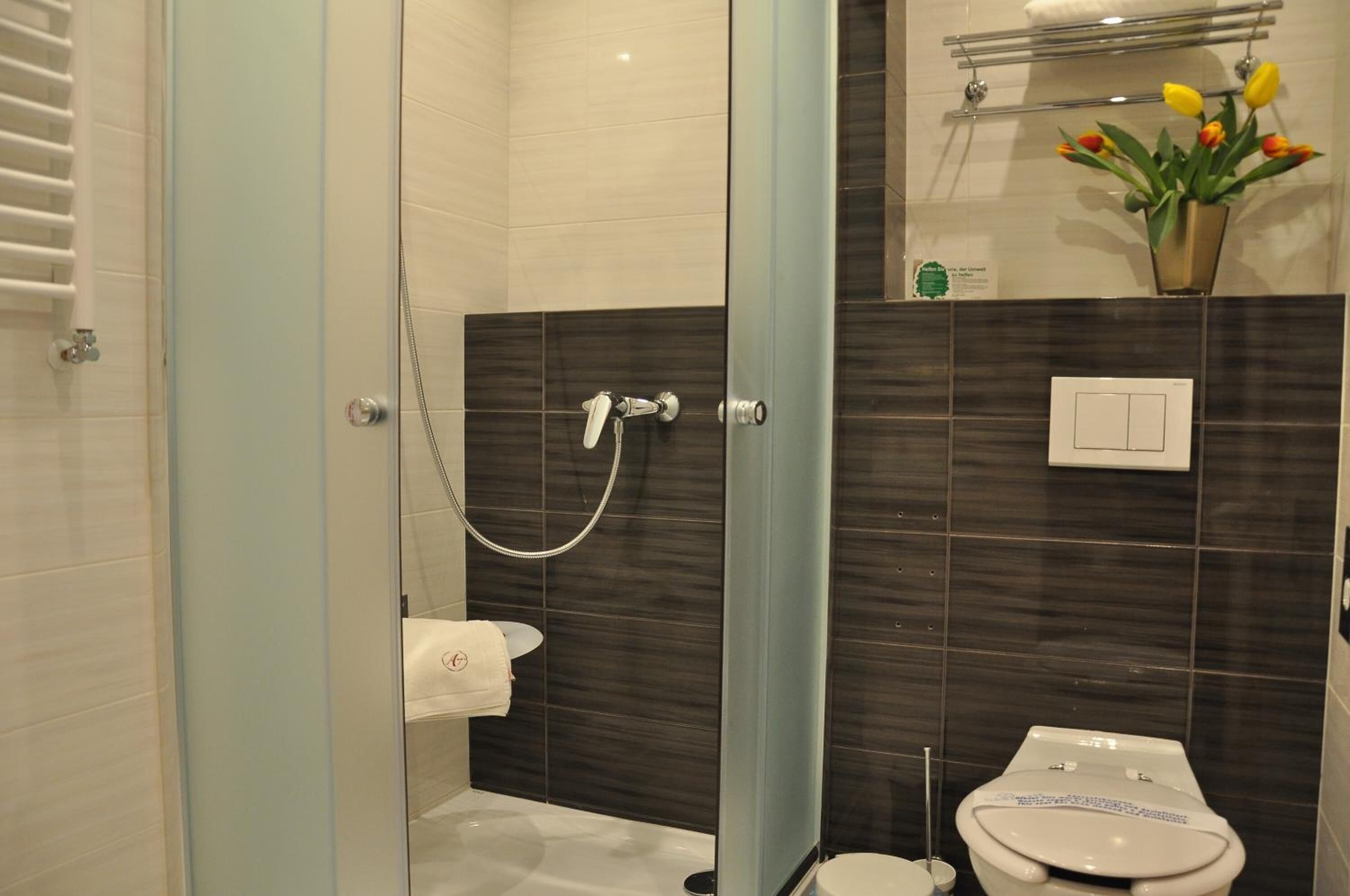 shower, free toiletries, hair dryer, towels