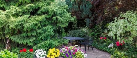 A garden with various plants and a table with chairs.