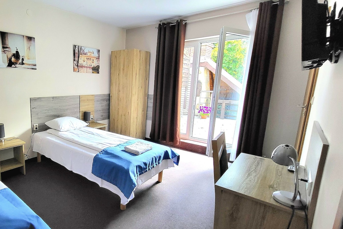 Twin Room, Terrace | Desk, soundproofing, free WiFi, bed sheets