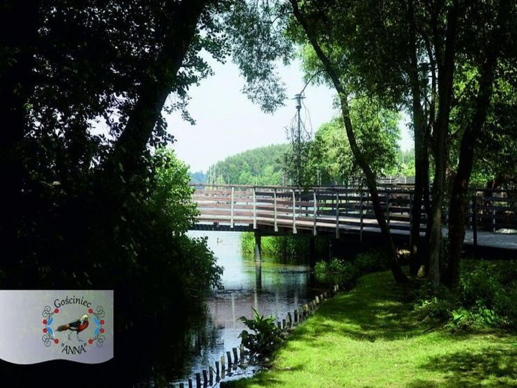 Eine Holzbrücke über einem ruhigen Fluss, umgeben von üppigem Grün und Bäumen.