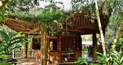 Banana Bamboo Ecolodge