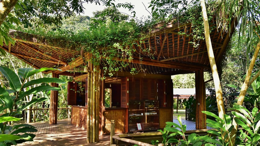 Banana Bamboo Ecolodge