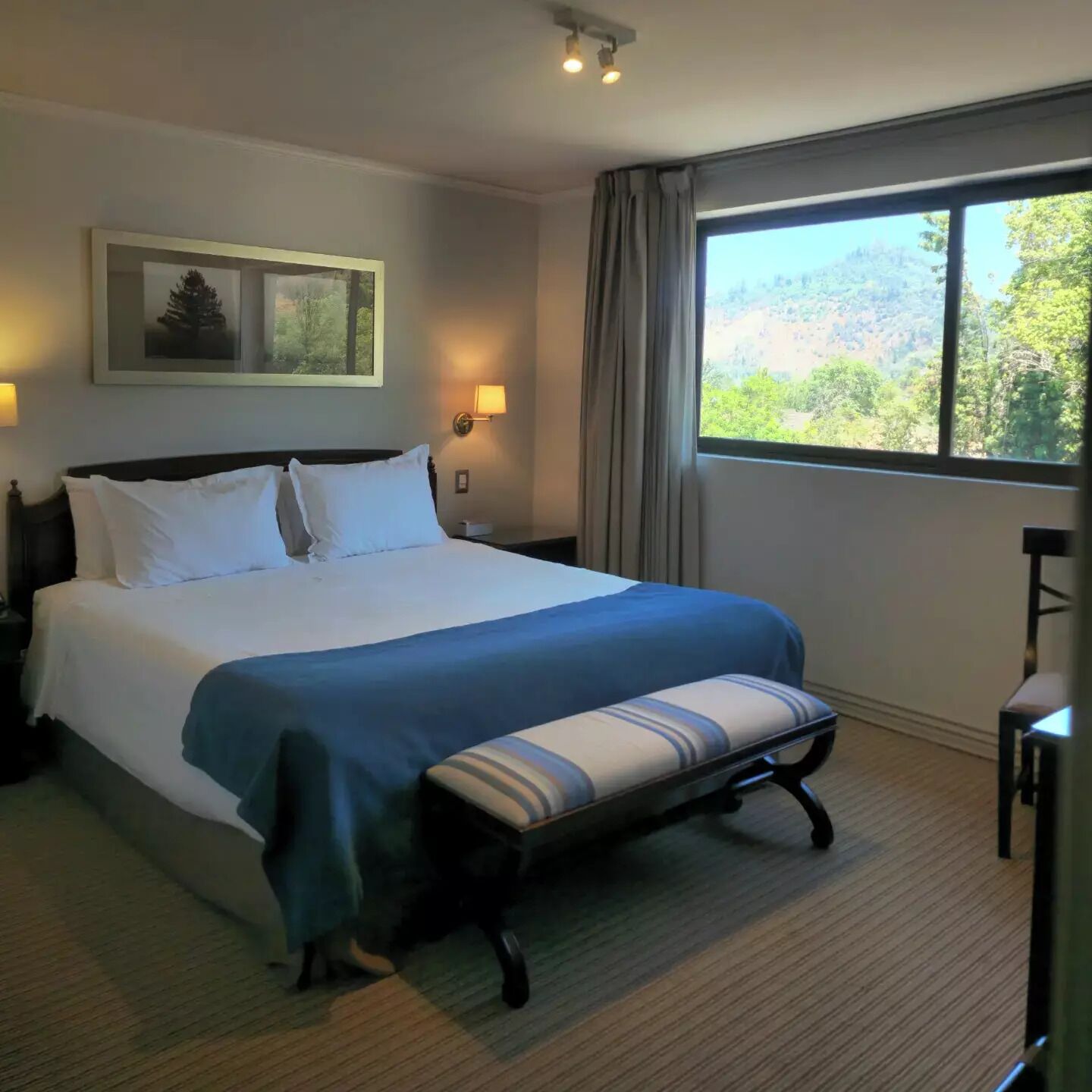 Un cuarto de hotel con una cama grande, un banco, un escritorio, una ventana con vista a árboles y una lámpara fijada a la pared.