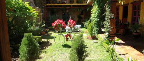 A courtyard with potted plants, a bicycle, and a stone wall.