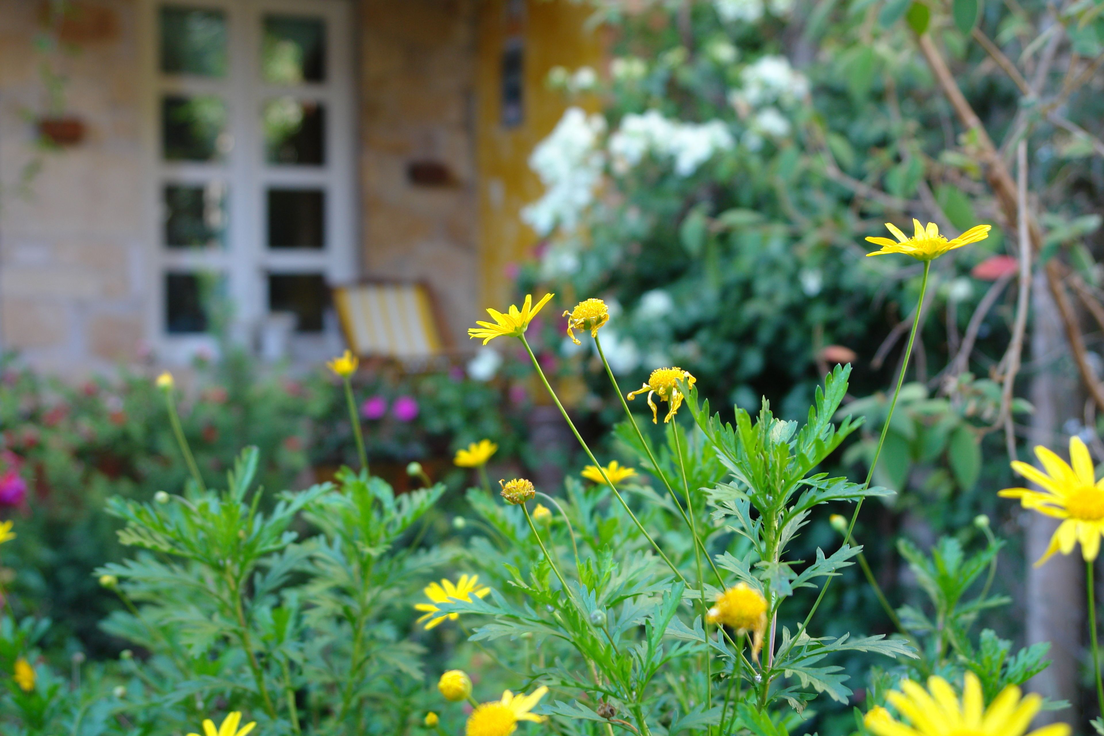 family room, terrace | terrace/patio