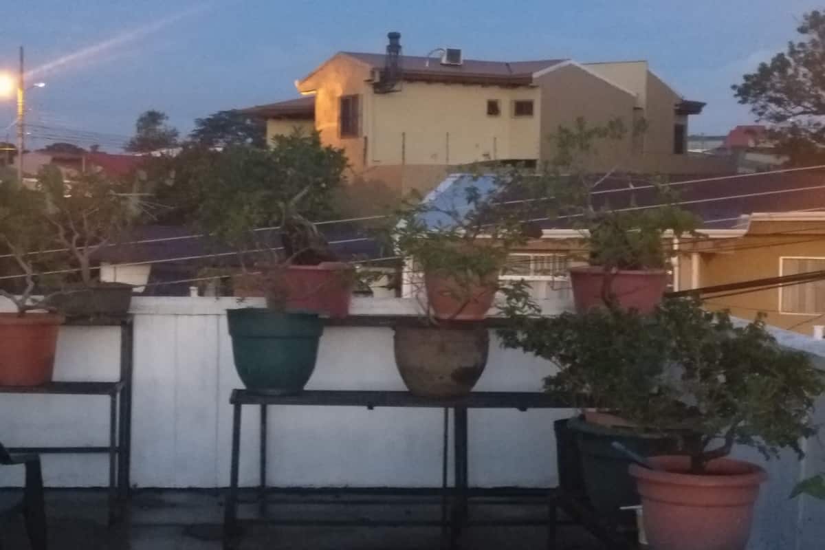 Panoramic Single Room, 1 Bedroom, Balcony, Mountain View | View from room