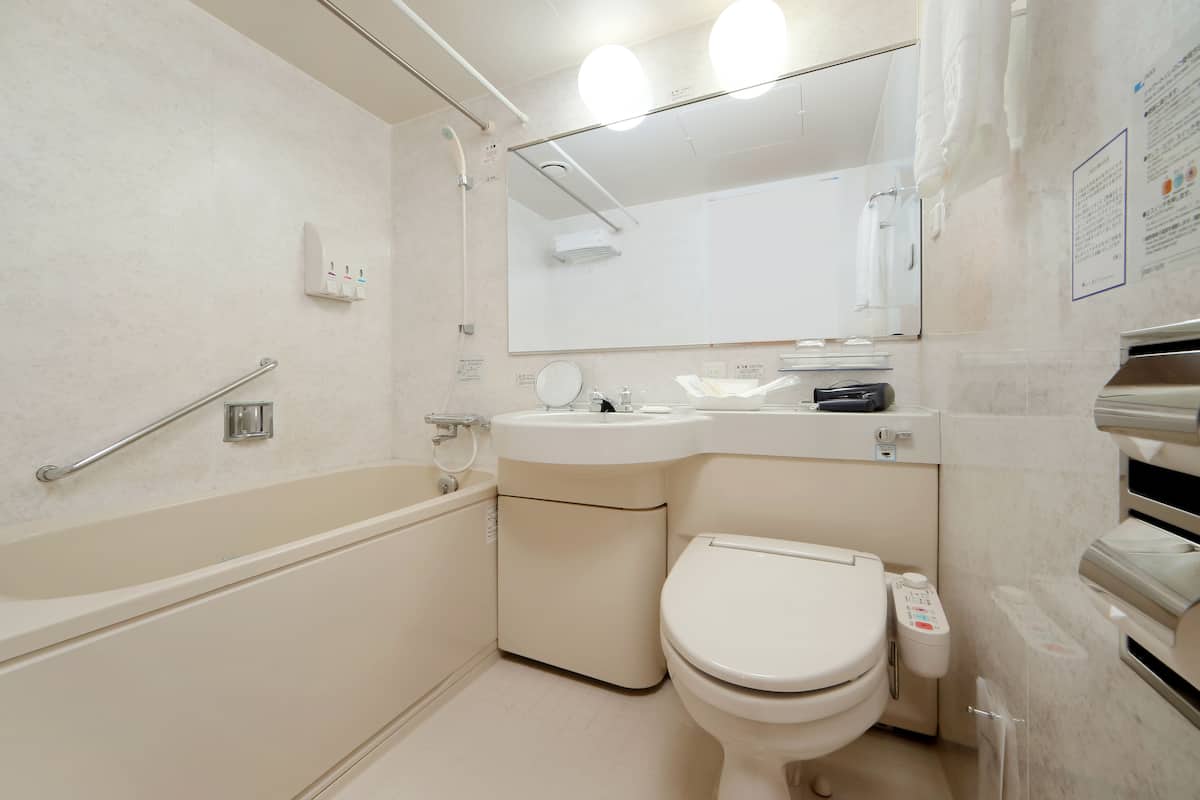 combined shower/bathtub, free toiletries, hair dryer, slippers