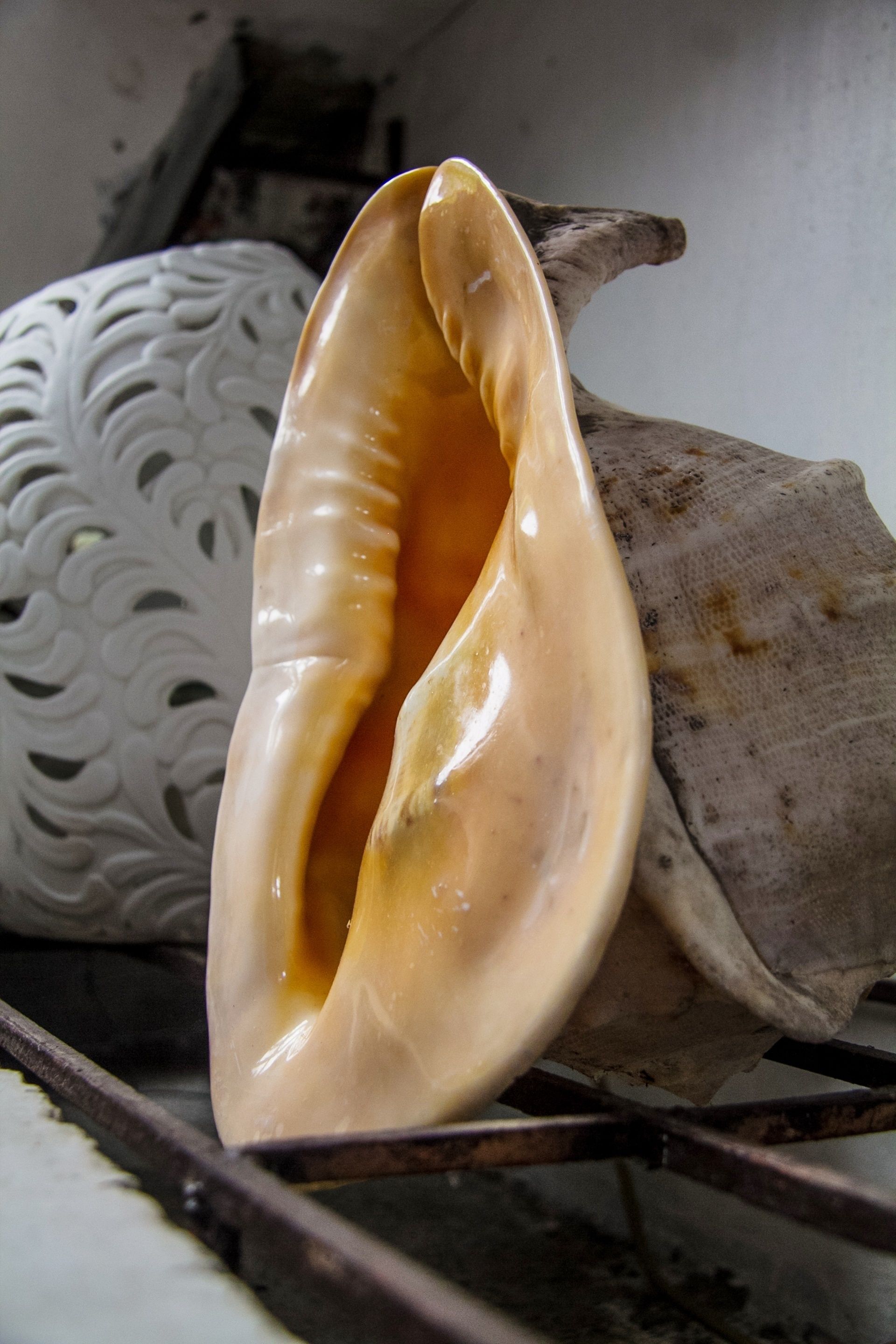 Foto - Boracay Ocean Bay Hotel