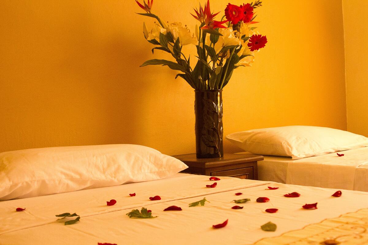 Habitación de hotel con dos camas, un florero con flores y pétalos de rosa sobre las camas.