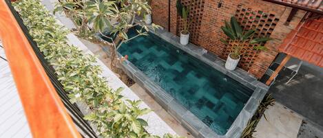 A rectangular swimming pool with a clear blue water surface, surrounded by potted plants and a brick wall.