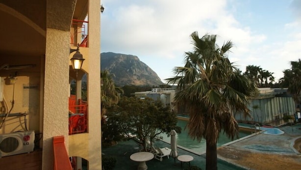A hotel balcony with a view of a mountain, a swimming pool, and palm trees. - Olleh House (Seogwipo)