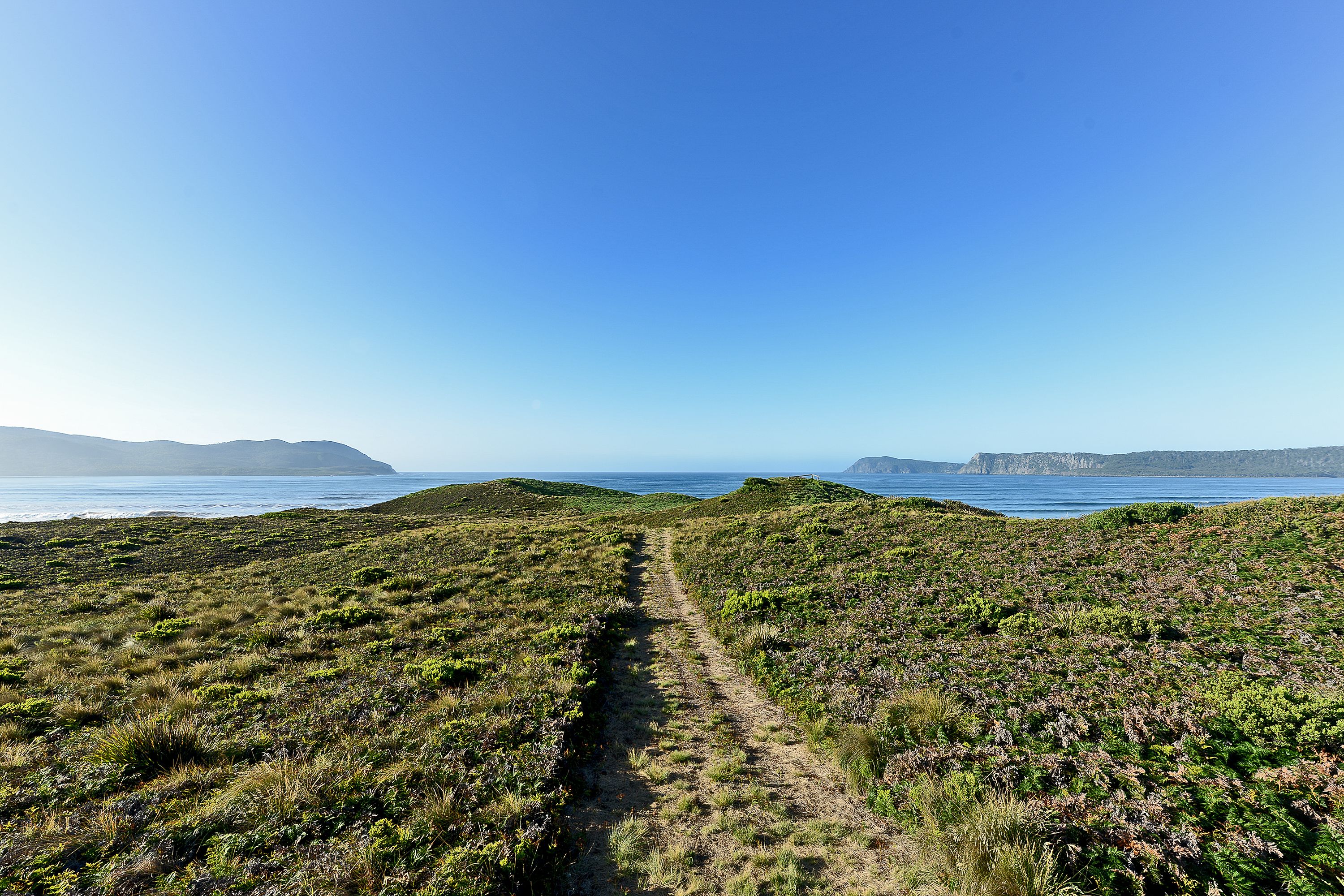 A coastal path with a clear view of the ocean and distant landforms.