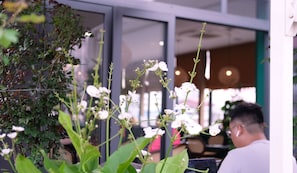 Outdoor banquet area