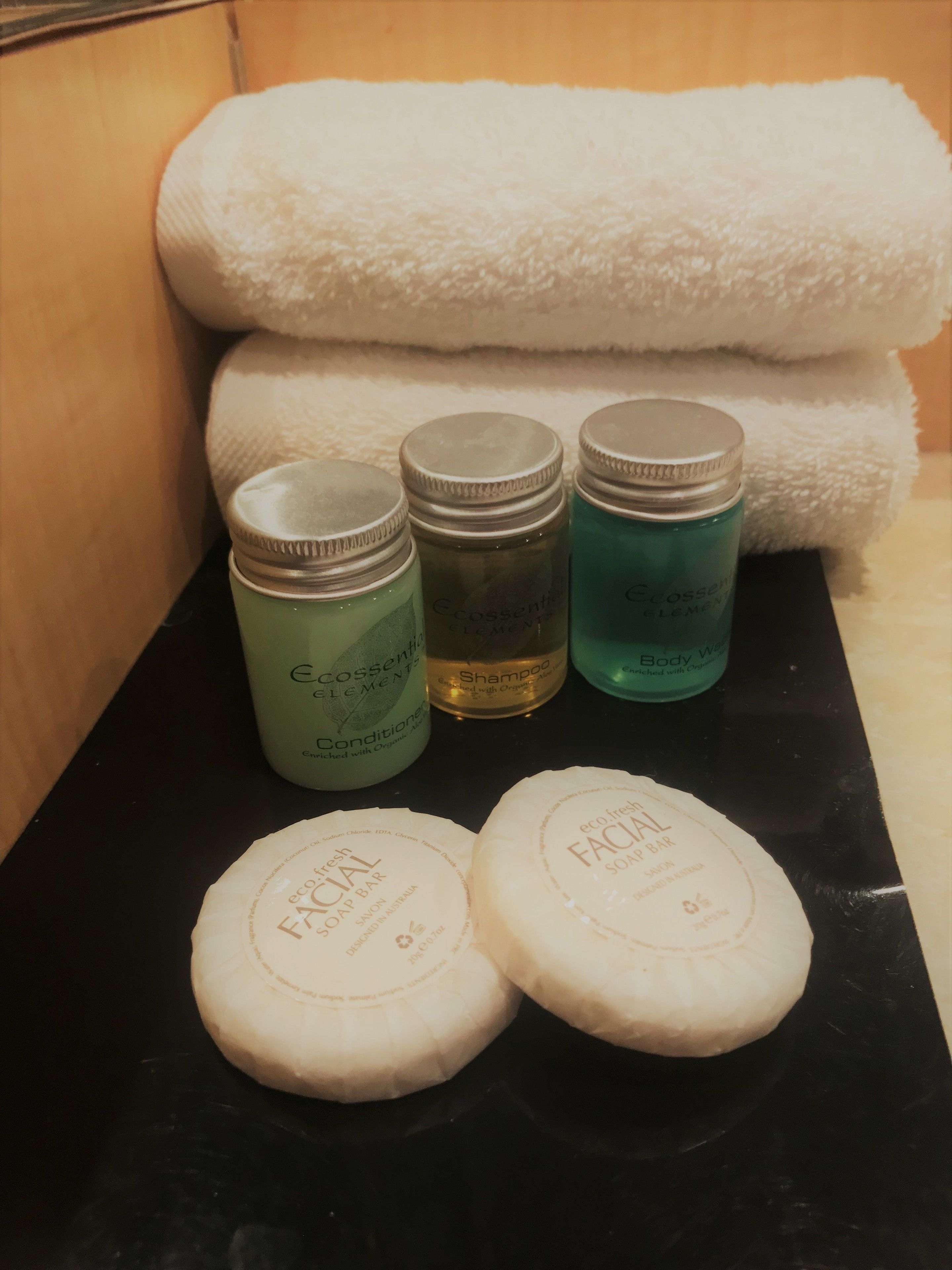 combined shower/bathtub, free toiletries, hair dryer, towels