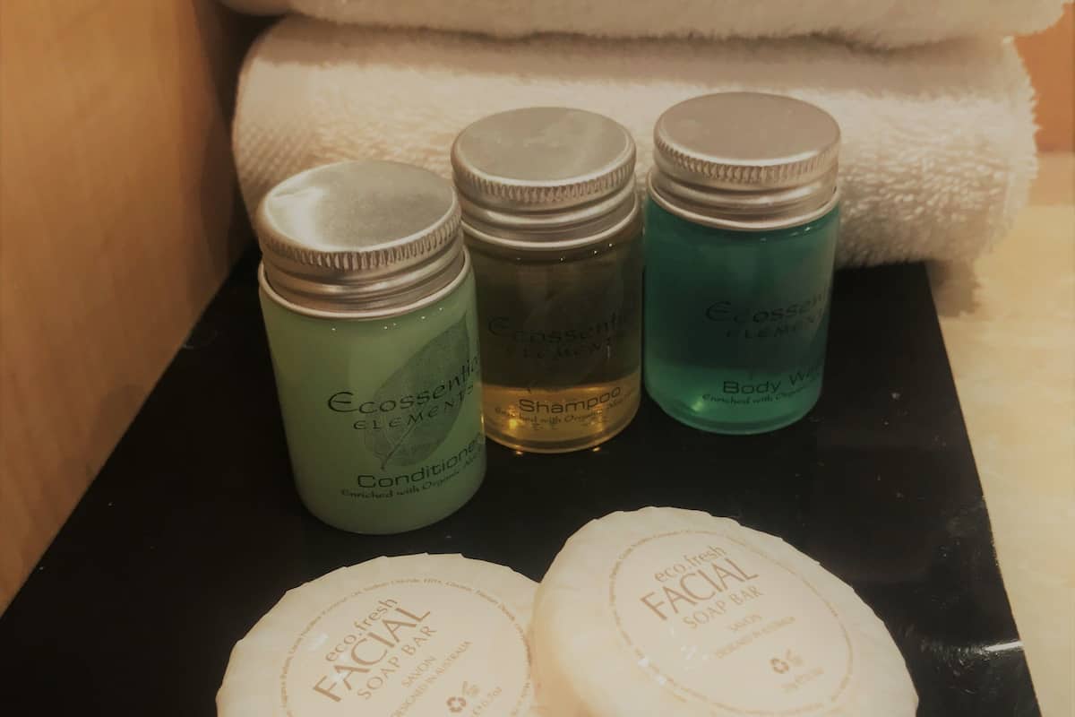 combined shower/bathtub, free toiletries, hair dryer, towels