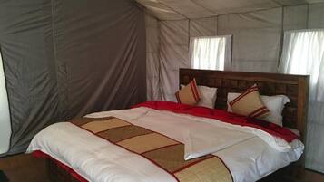 Una habitación con carpa, cama, cortinas y ventana.