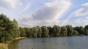 A river with a sandy bank and dense trees on the opposite bank. - B&B am See - Privatzimmer (Cologne)