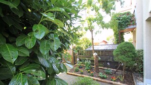 A garden with a variety of plants and a small tree. - B&B am See - Privatzimmer (Cologne)