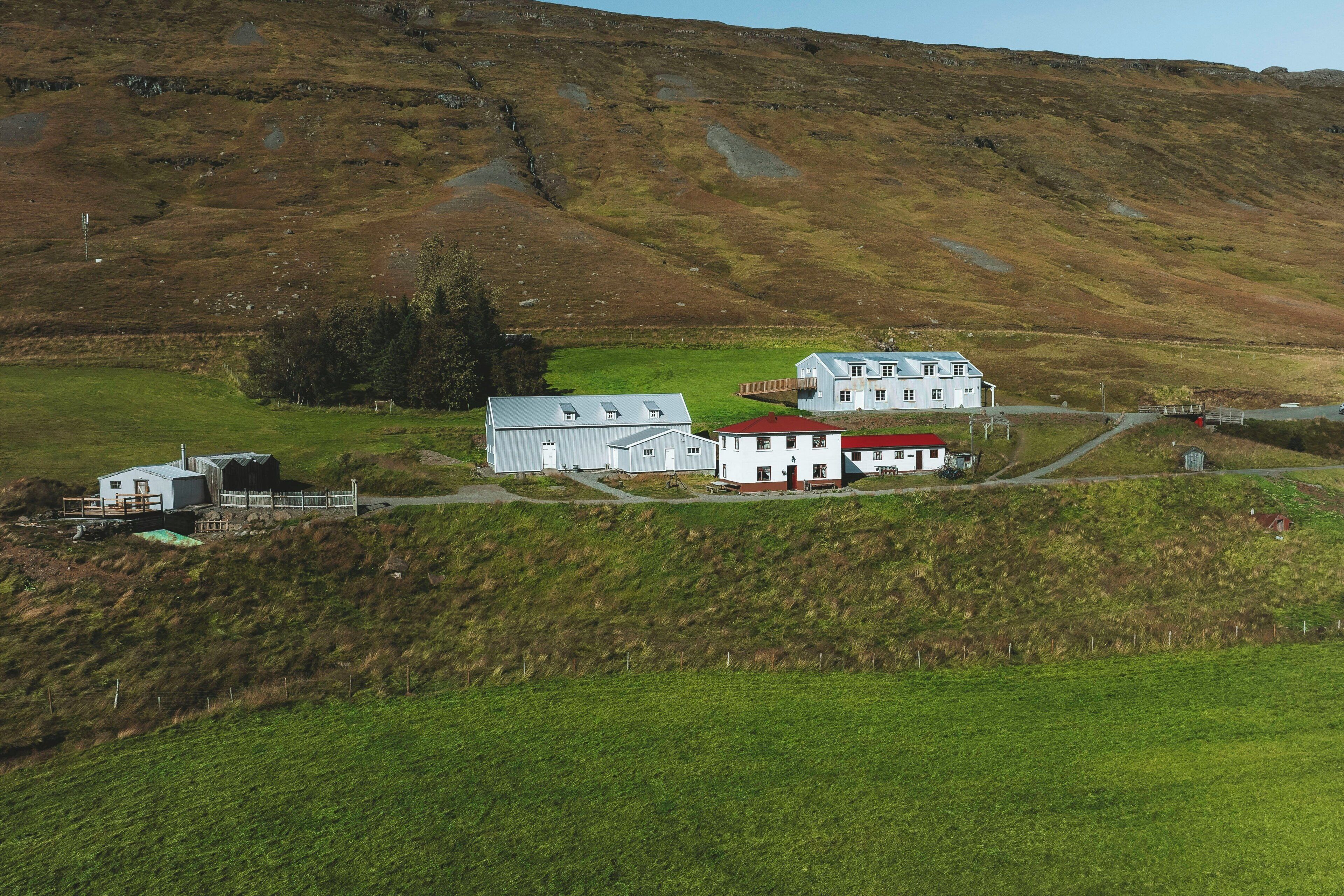 A rural landscape with a cluster of buildings, including a main house with a red roof, a smaller white building, and a utility shed.