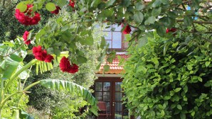 Un sendero en un jardín que lleva a un edificio con techo de tejas y una puerta.