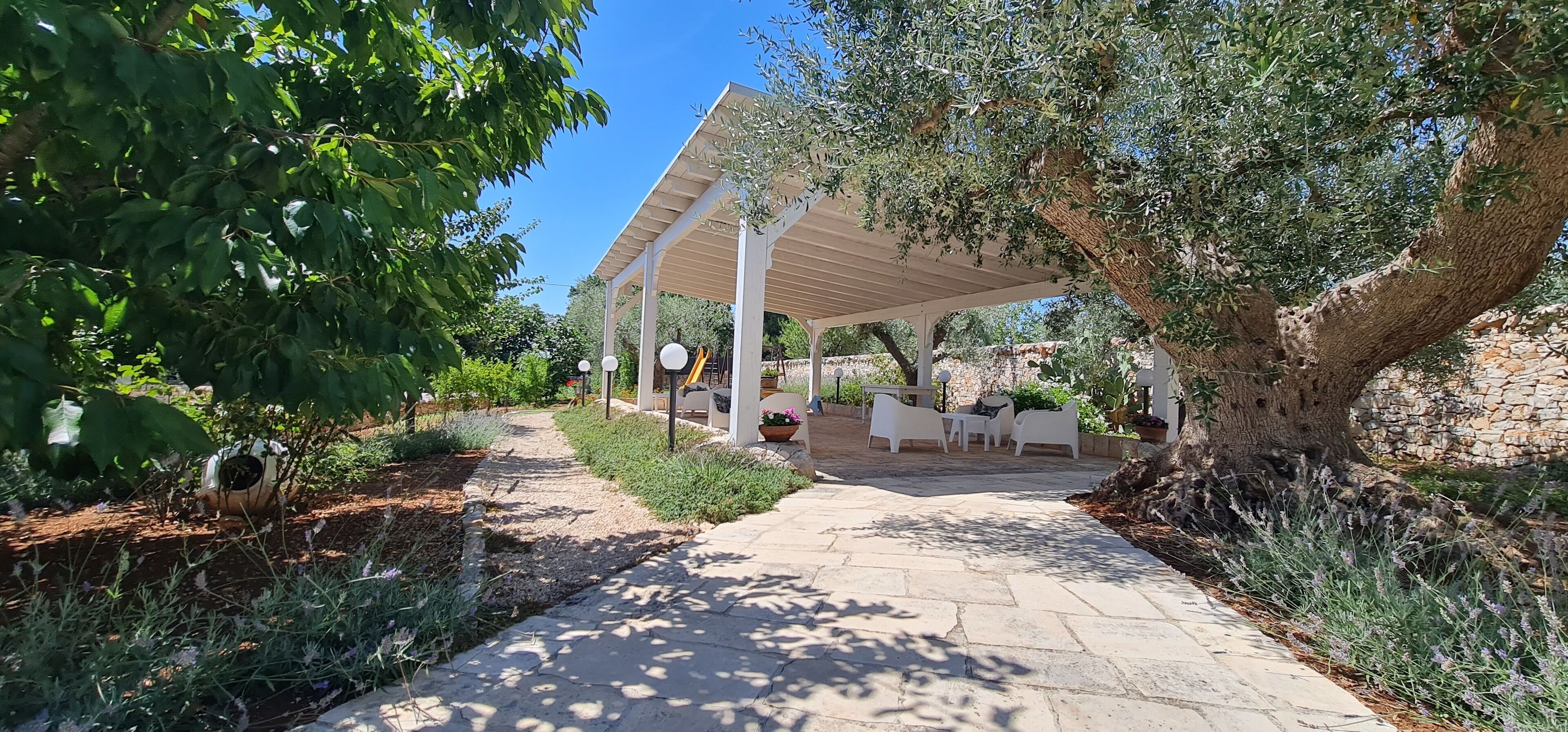 A covered outdoor seating area with stone flooring, surrounded by olive trees and lavender plants.