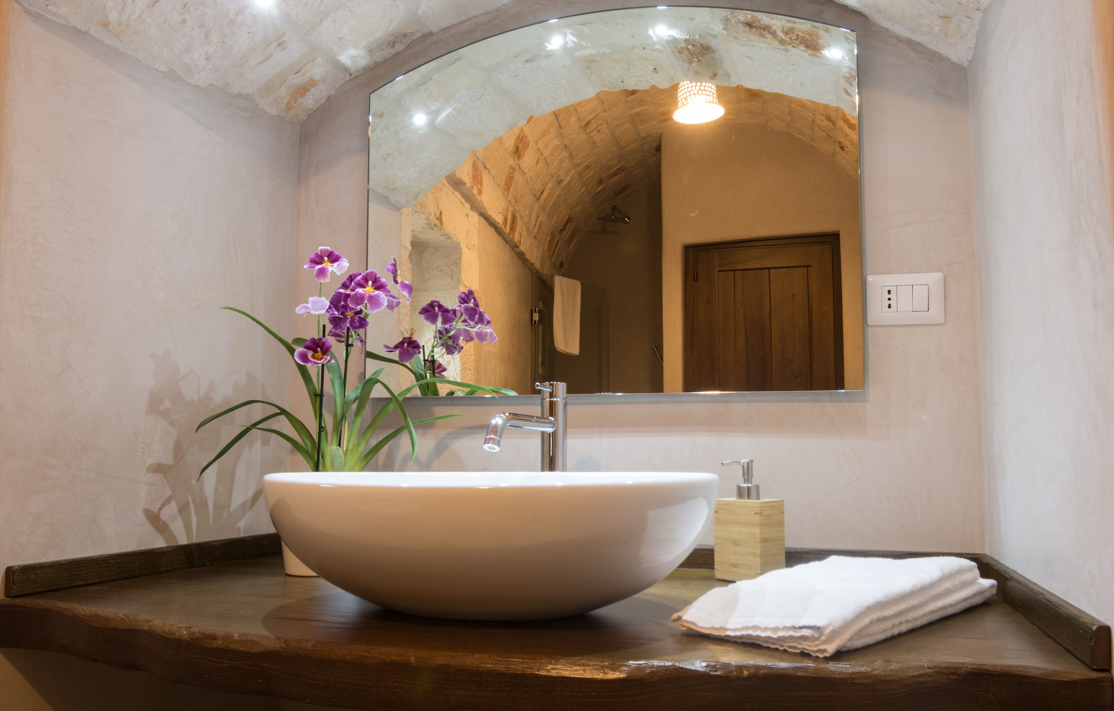 A bathroom with a large oval sink, a mirror, and a wooden countertop.