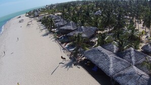 Una playa con cabañas de techo de paja y palmeras.