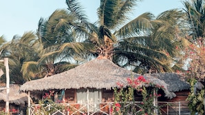 Una casa de madera rústica con techo de paja, rodeada por una playa arenosa y palmeras.