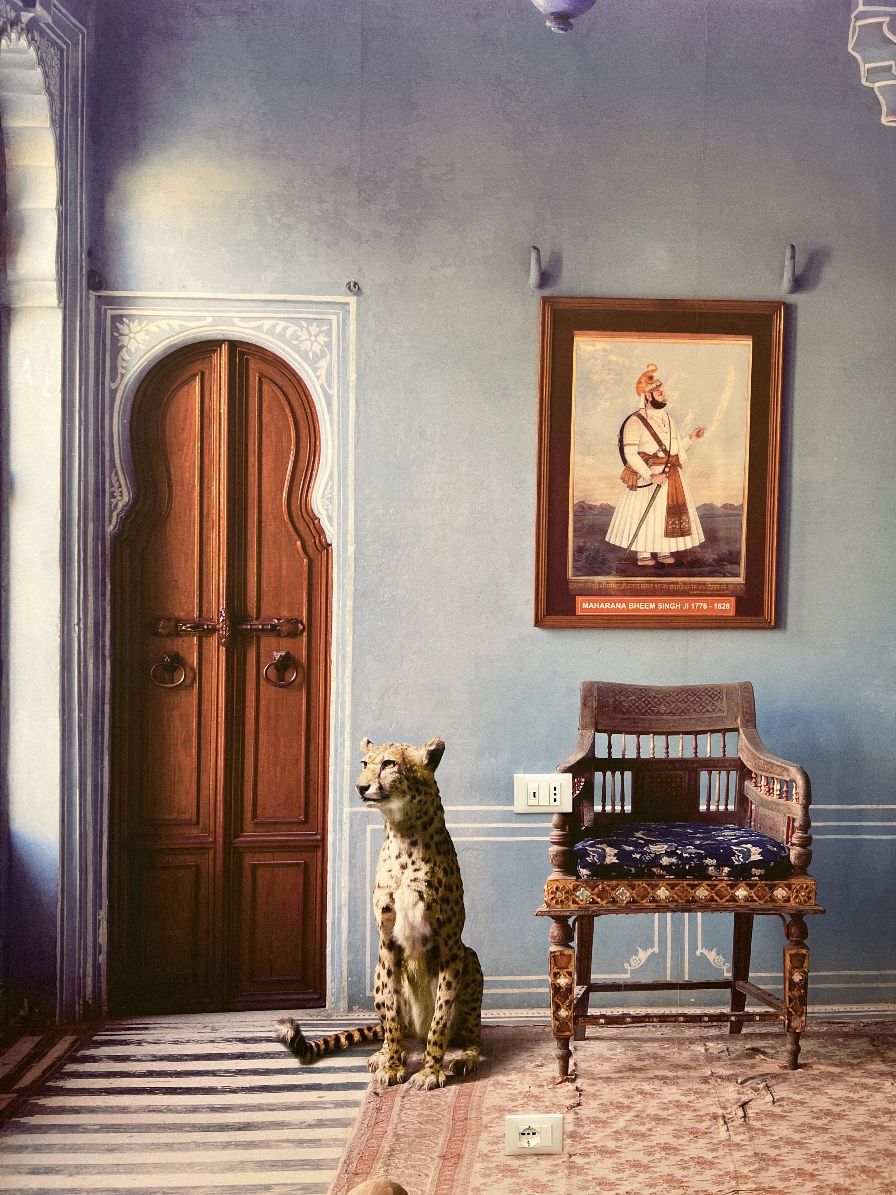 Foto - Trevi Elite Rome