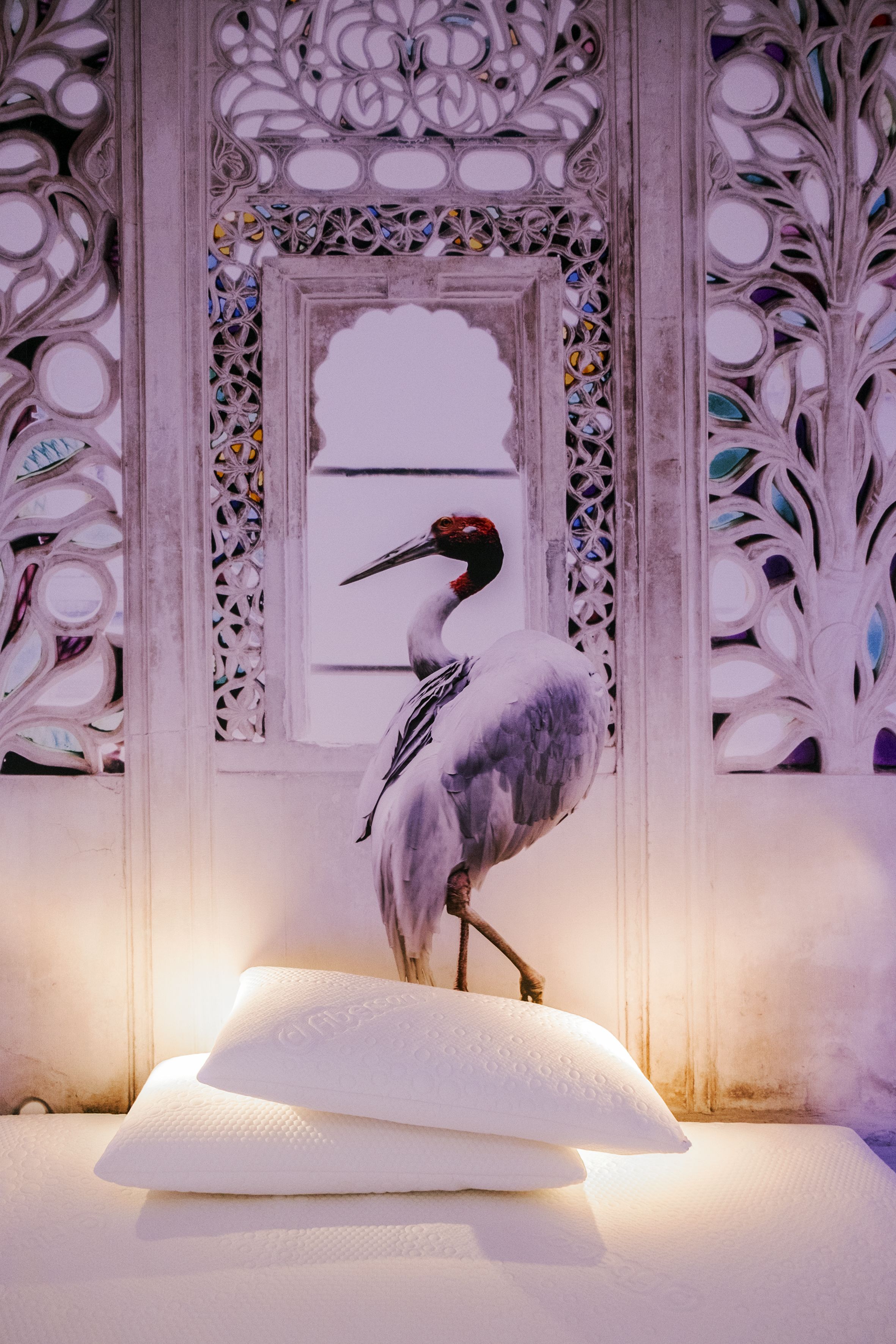 A stork standing on a white pillow against a decorative wall with intricate patterns.