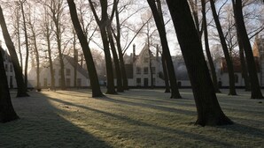 A park with tall trees and a building in the background. - B-Square Brugge (Bruges)