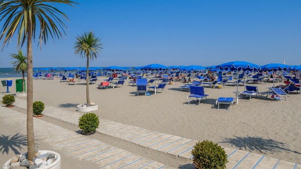A beach with rows of blue lounge chairs and umbrellas, palm trees, and a clear sky. - Isola di Albarella Golf Hotel (Rosolina)