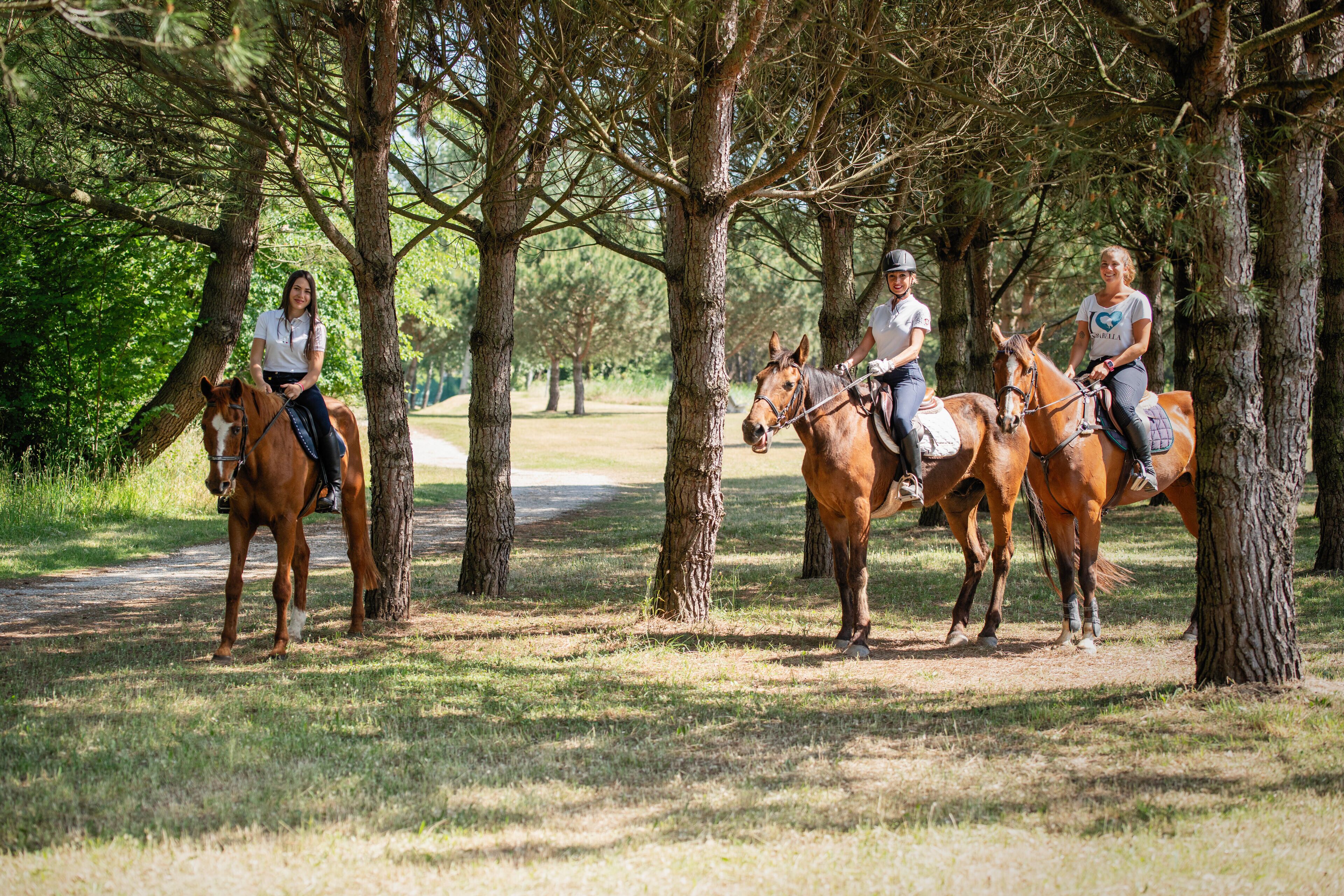 Trois personnes à cheval, sur un sentier bordé d’arbres.
