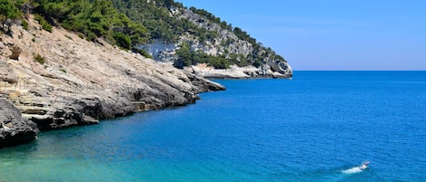 Private beach, white sand, beach shuttle, sun loungers
