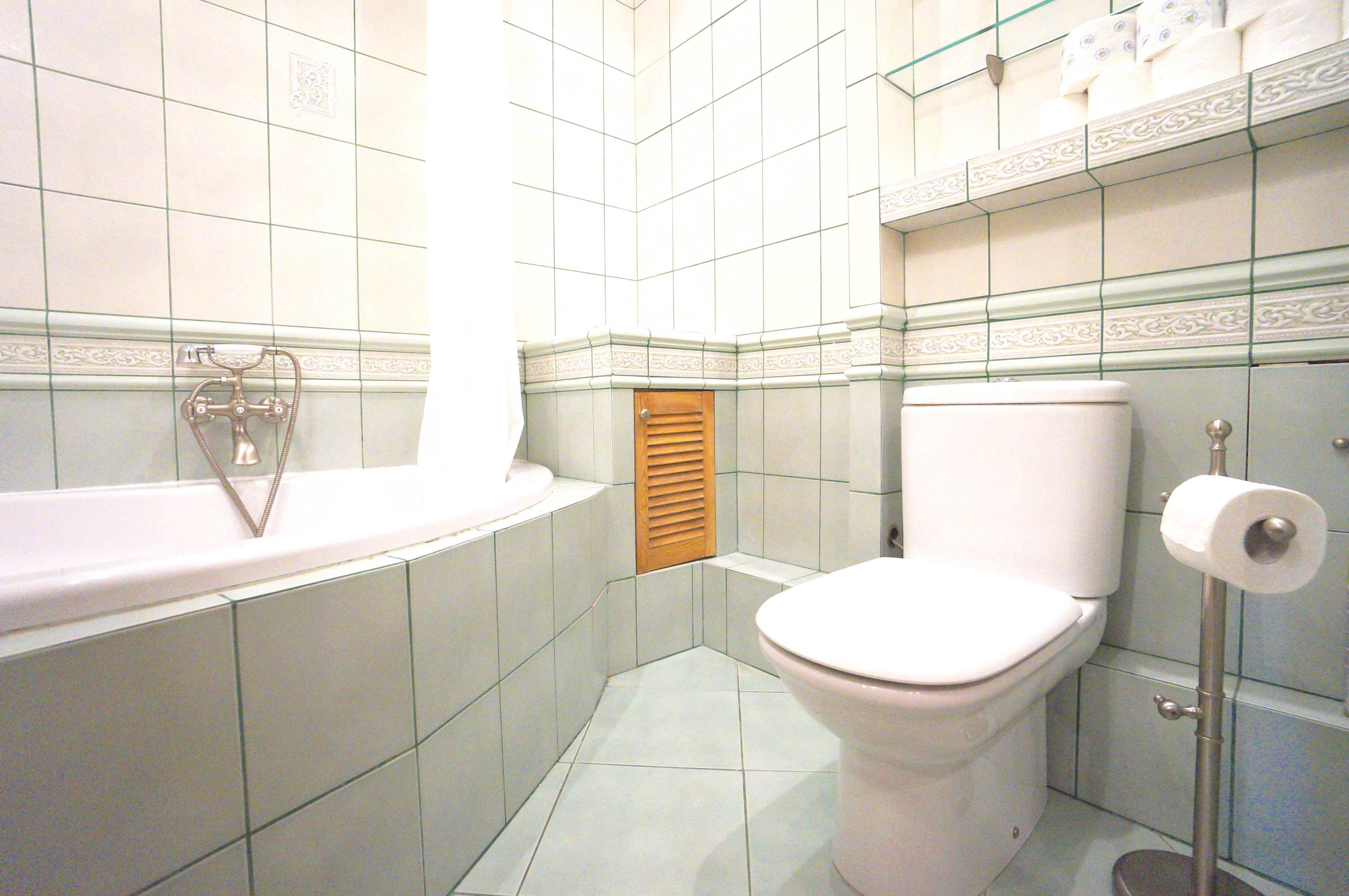A bathroom with a toilet, a shower, and a toilet paper holder.