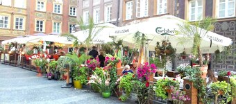 AAA STAY Market Square Old Town