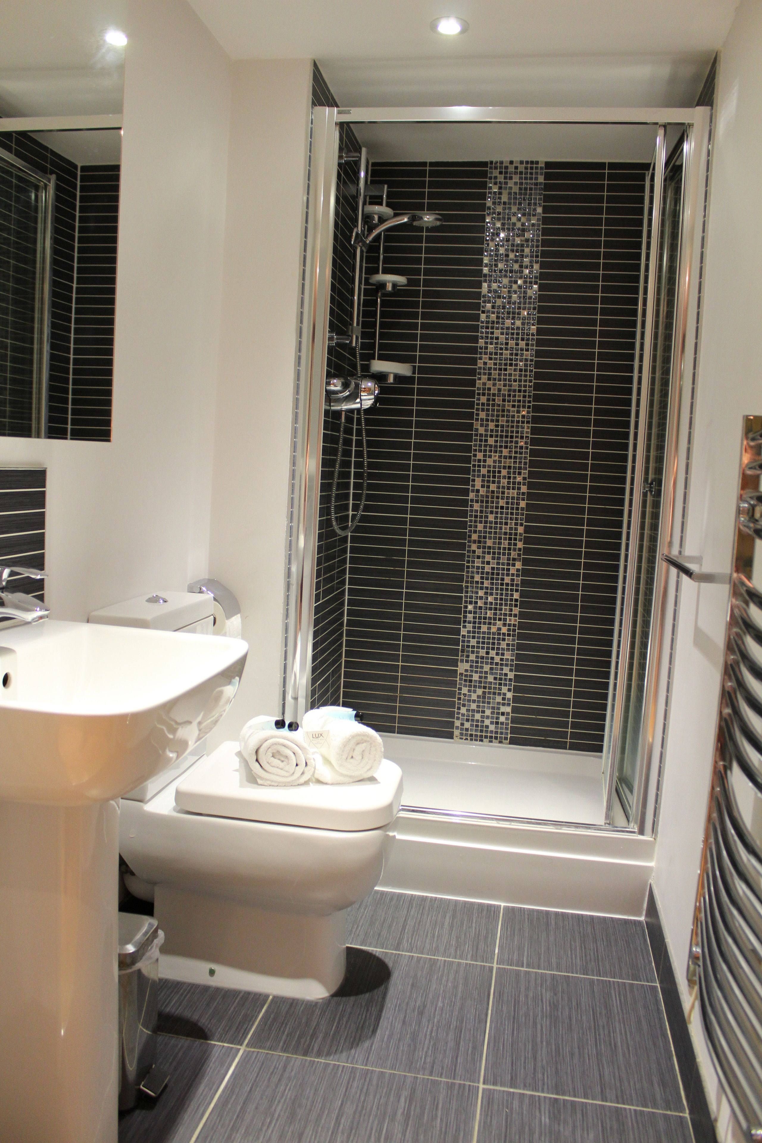 Shower, free toiletries, hair dryer, towels