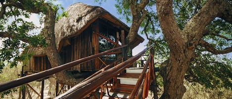 Drunken Parrot (Honeymoon Treehouse) | Terrasse/Patio